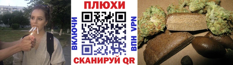 ГАШ Изолятор  Курск 