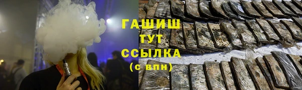 стаф Верея