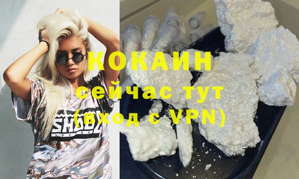 стаф Верея