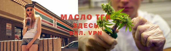 стаф Верея