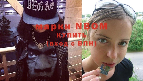 стаф Верея