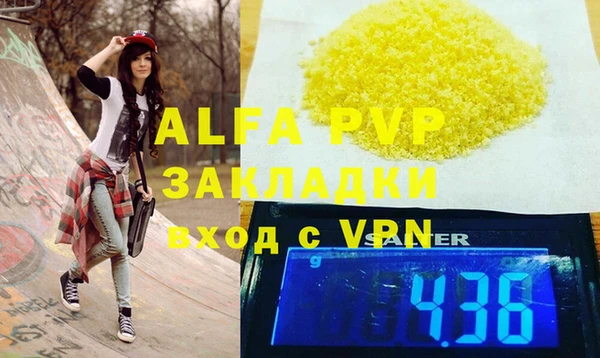 стаф Верея