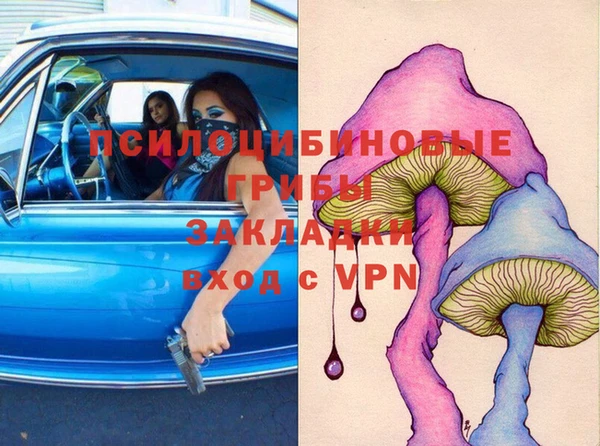 стаф Верея