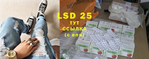 стаф Верея