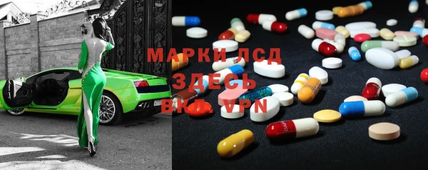 стаф Верея