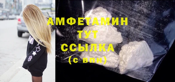 стаф Верея