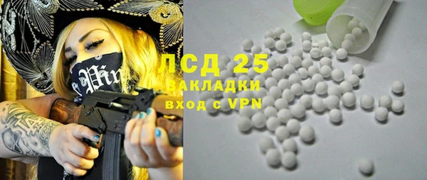 стаф Верея