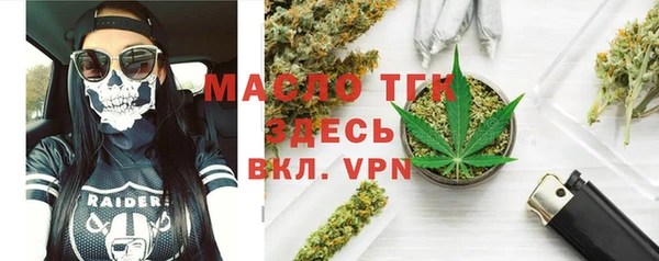 стаф Верея