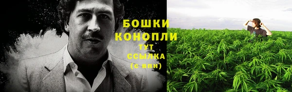стаф Верея