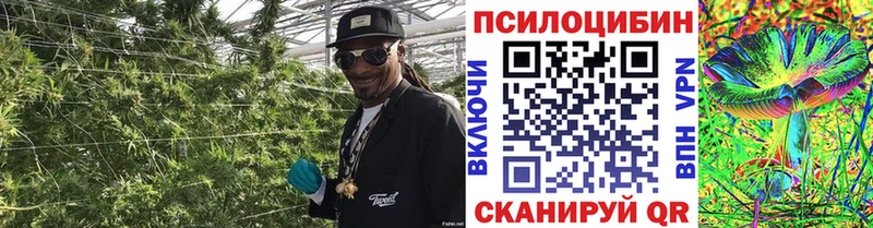 Галлюциногенные грибы ЛСД  дарнет шоп  Курск 